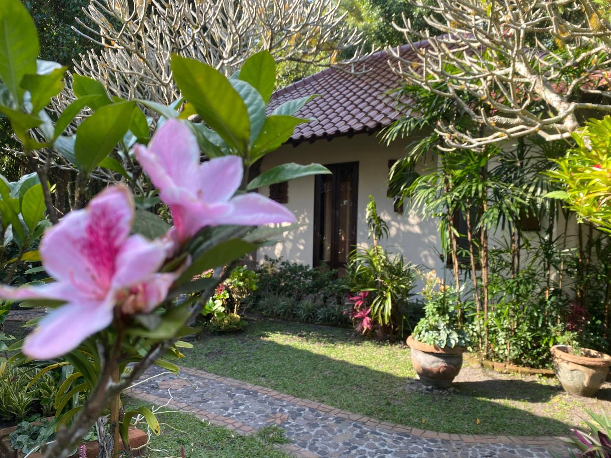 Bali Barn Village Munduk Eksteriør billede